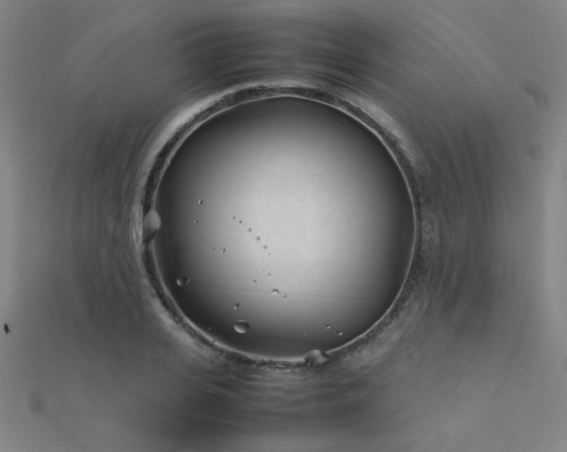X0000112400935200908141336