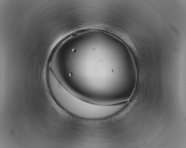 X0000112400936200908141336