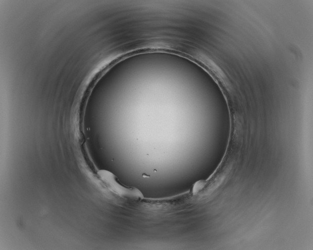 X0000112400939200908141336