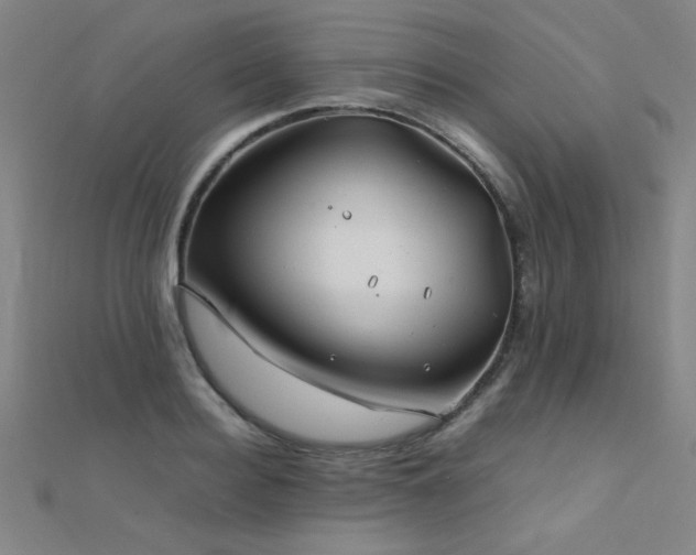X0000112400940200908141336