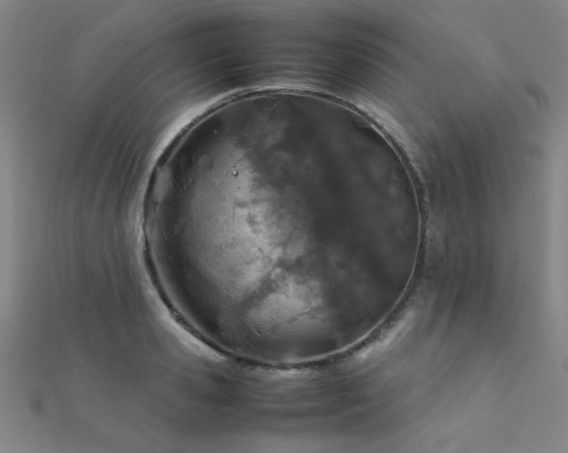 X0000112400941200908141336