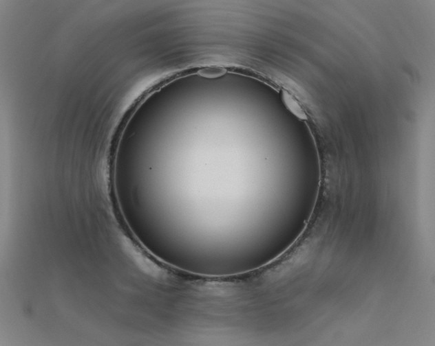 X0000112400942200908141336
