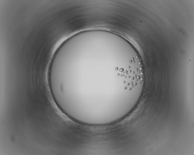 X0000112400944200908141336