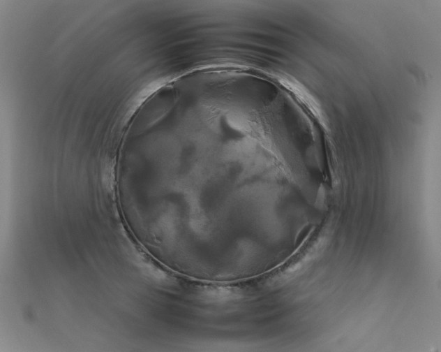 X0000112400945200908141336