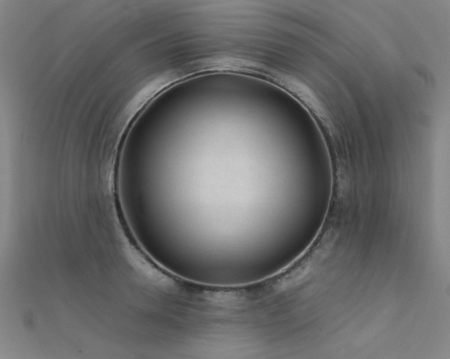 X0000112400946200908141336