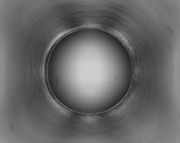 X0000112400947200908141336