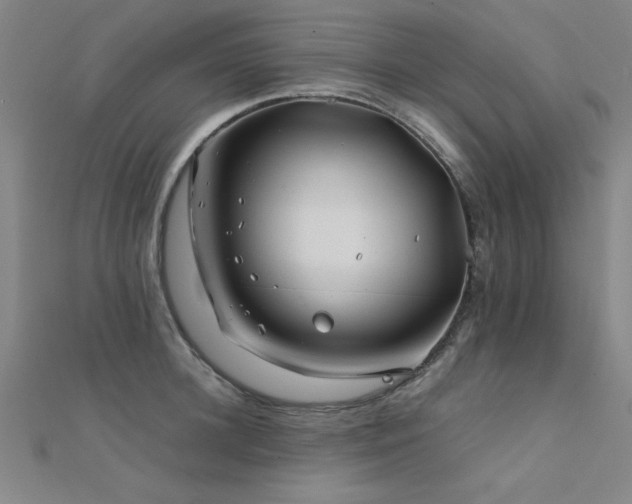 X0000112400948200908141336