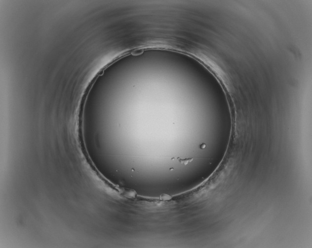 X0000112400949200908141336