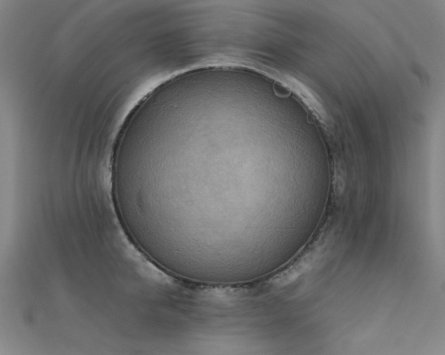 X0000112400950200908141336