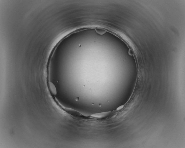 X0000112400951200908141336