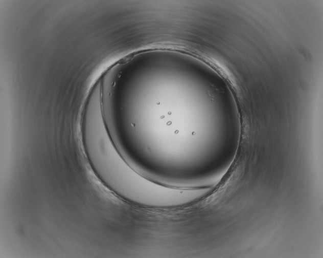 X0000112400952200908141336