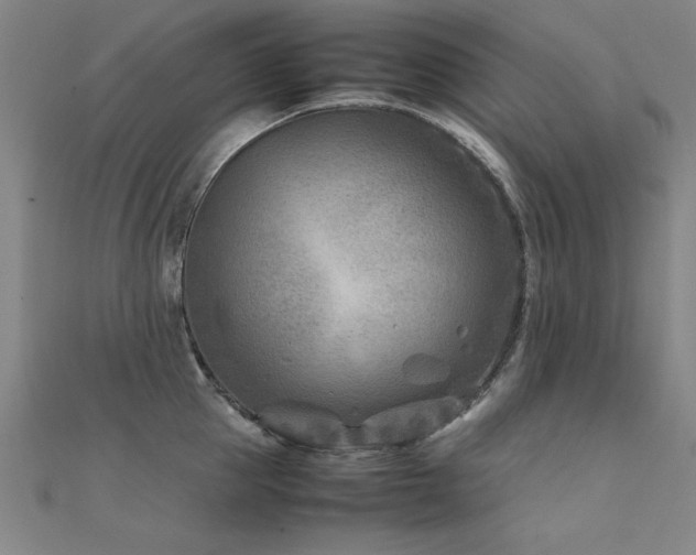 X0000112400953200908141336