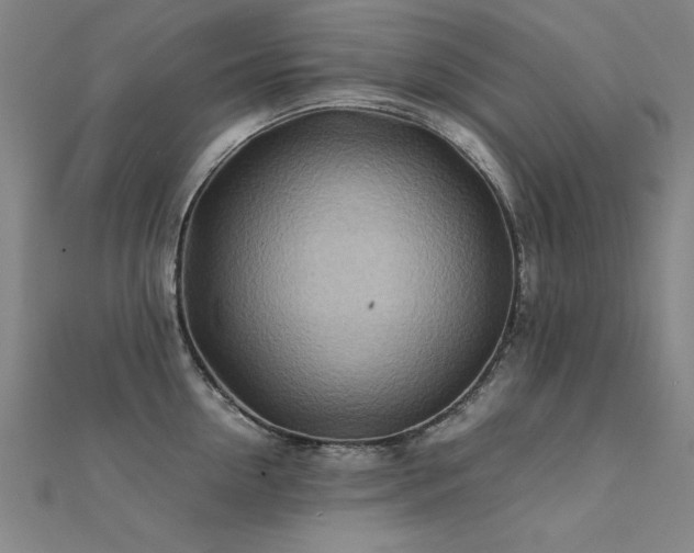 X0000112400954200908141336