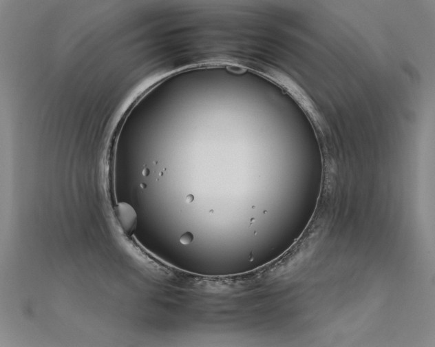 X0000112400955200908141336