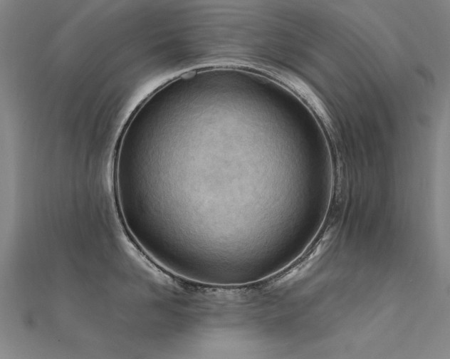 X0000112400958200908141336