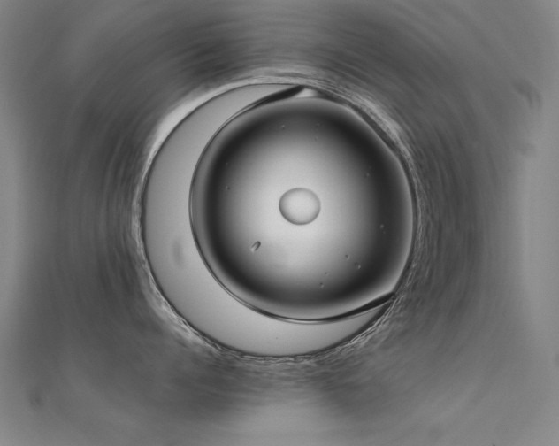 X0000112400960200908141336