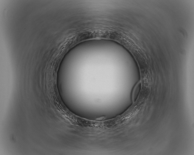 X0000112400961200908141336