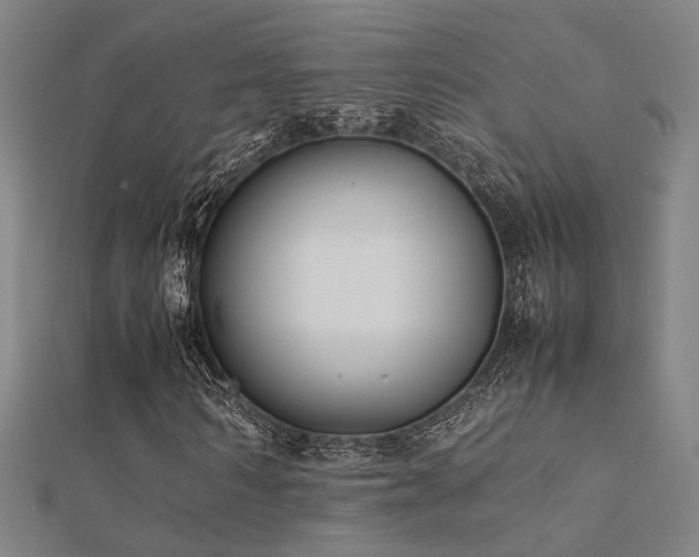 X0000112400962200908141336