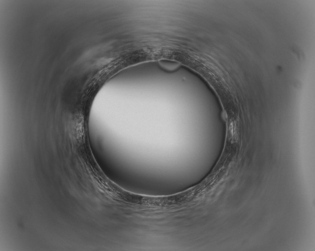 X0000112400963200908141336