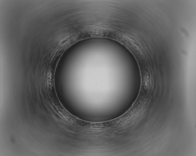 X0000112400964200908141336