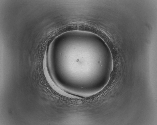 X0000112400965200908141336