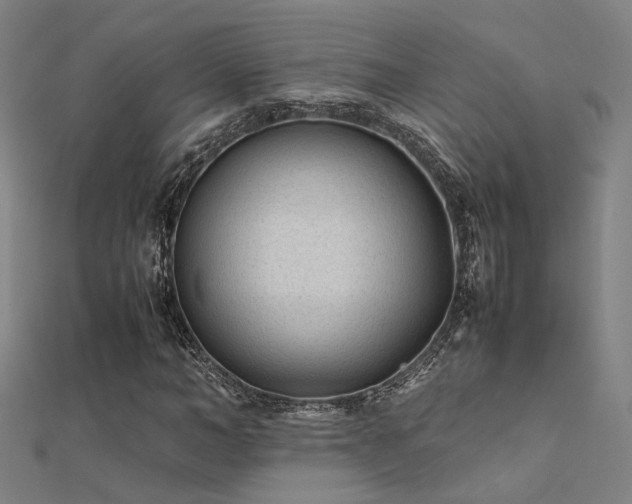 X0000112400966200908141336