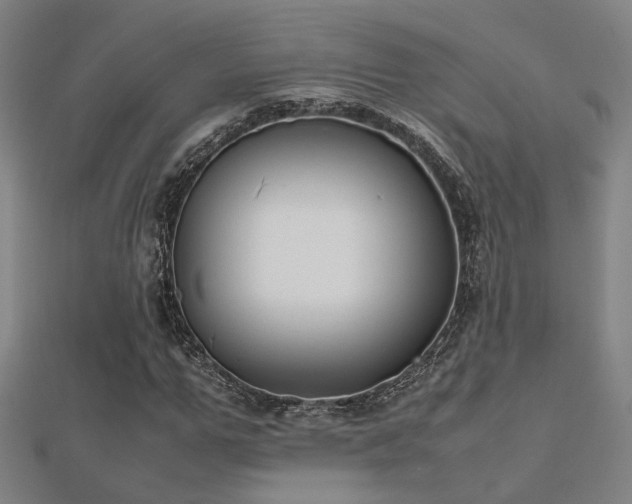 X0000112400967200908141336
