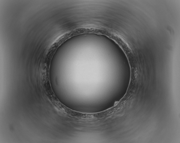 X0000112400968200908141336