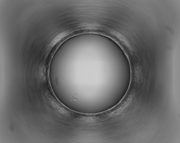 X0000112400970200908141336