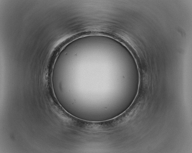 X0000112400971200908141336