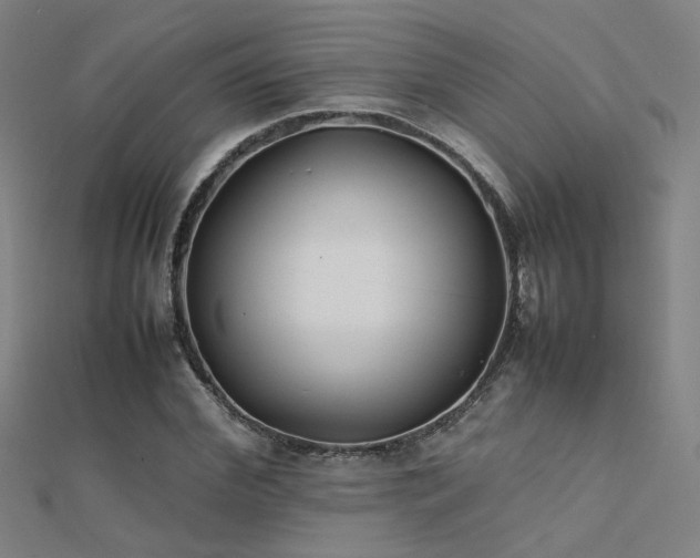 X0000112400972200908141336
