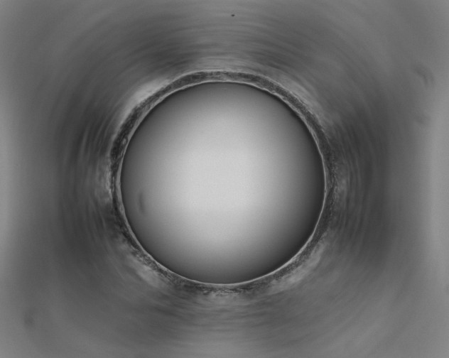 X0000112400974200908141336