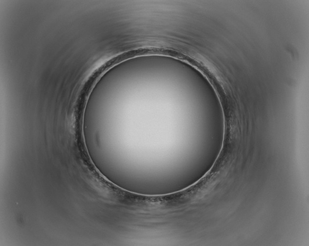 X0000112400975200908141335