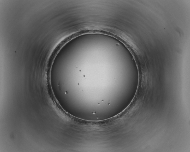 X0000112400976200908141335