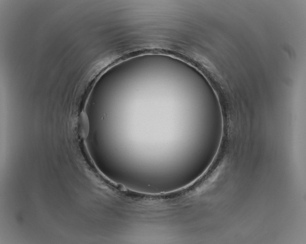 X0000112400977200908141335