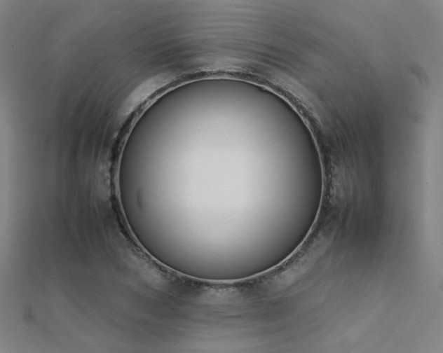 X0000112400978200908141335