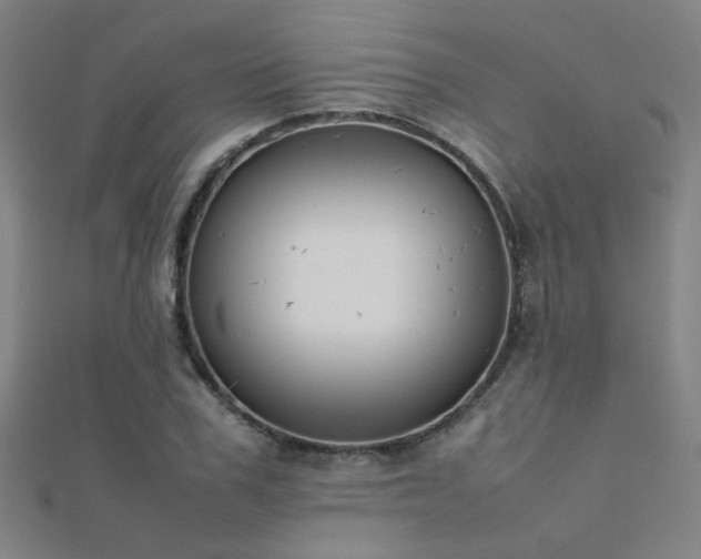 X0000112400979200908141335
