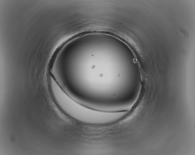 X0000112400981200908141335