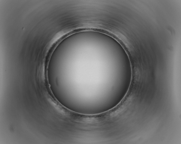 X0000112400982200908141335