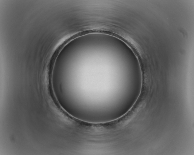 X0000112400983200908141335