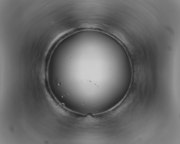 X0000112400984200908141335