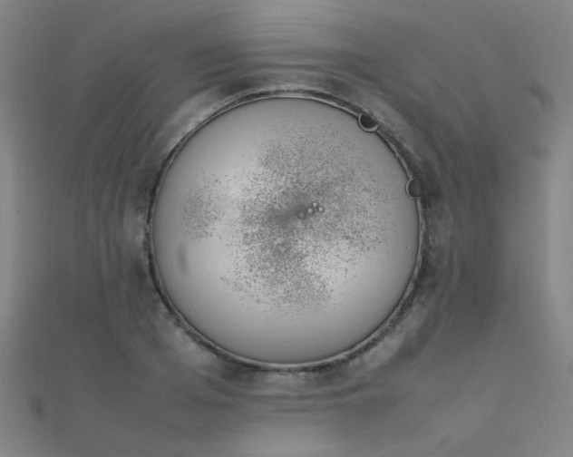 X0000112400985200908141335