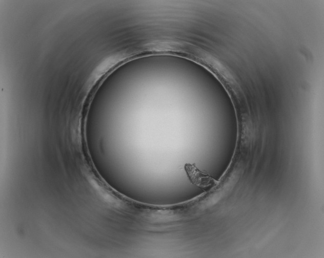 X0000112400986200908141335