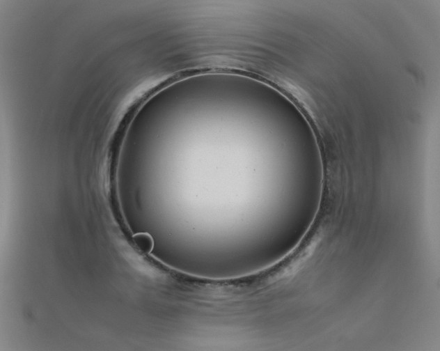 X0000112400987200908141335