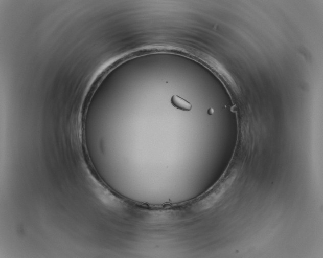 X0000112400988200908141335