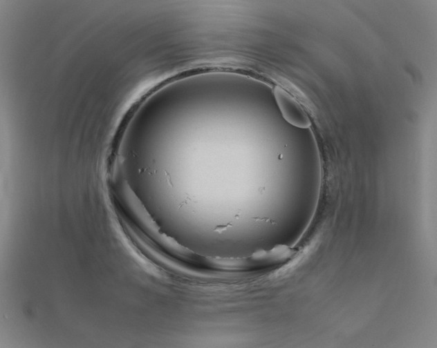X0000112400989200908141335