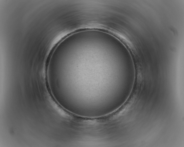X0000112400990200908141335