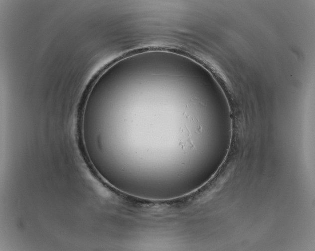 X0000112400991200908141335