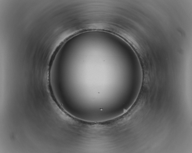 X0000112400992200908141335