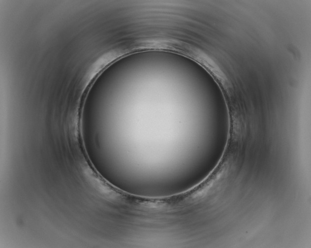 X0000112400994200908141335